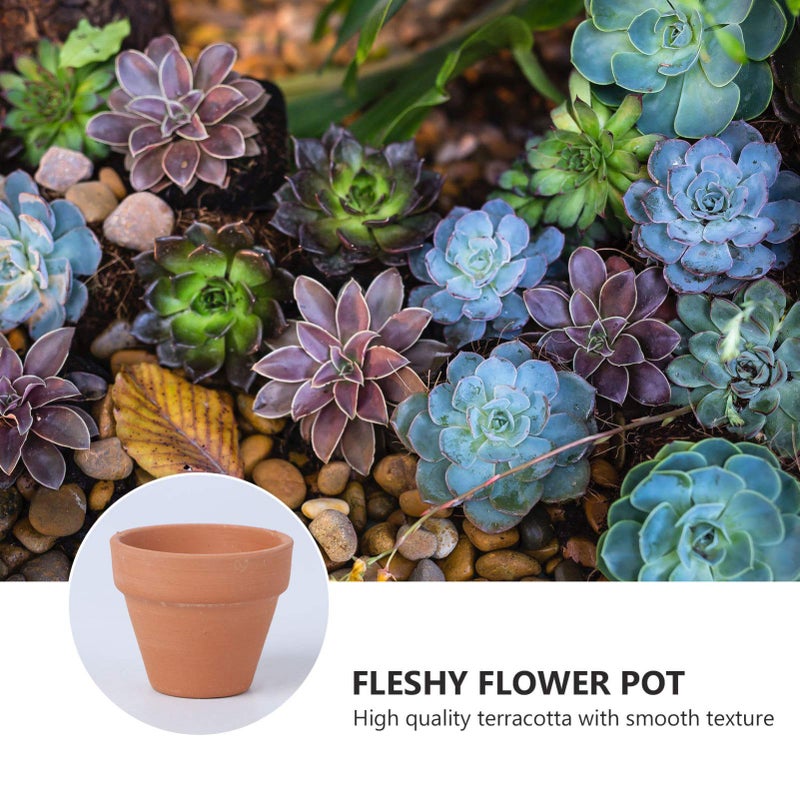 OUNONA 10Pcs Small Terracotta Pots 1.8X1.6 Inch Clay Ceramic Succulent Flower Pots with Drainage Holes for Plants Crafts Wedding Favors - Image 2